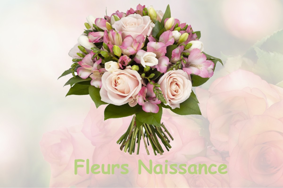 fleurs naissance FRESNAY-LE-LONG